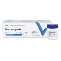 VLADMIVA DENTINE PASTE GEÇİCİ DOLGU