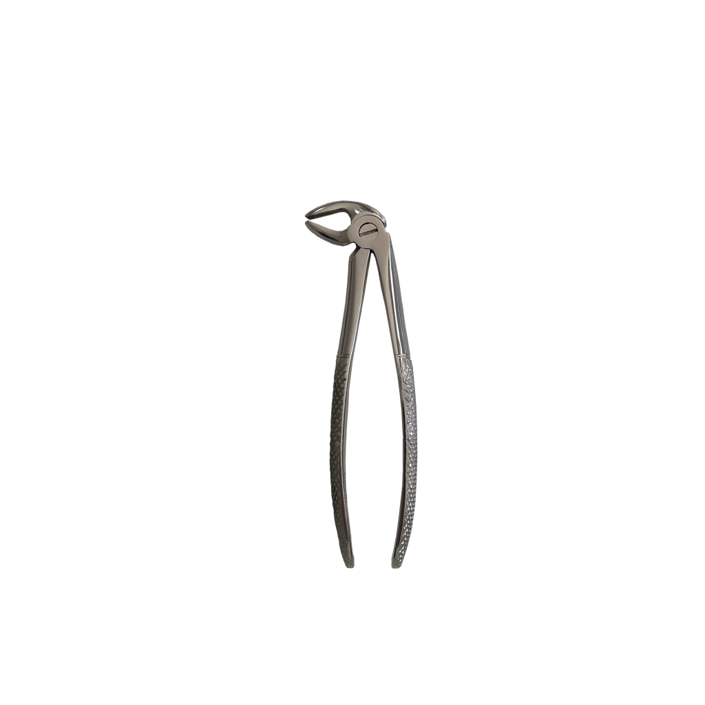 ALT PREMOLAR (Alt Küçük Azı) YETİŞKİN DAVYE