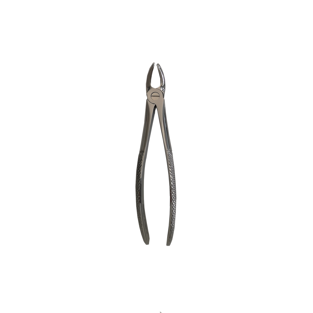 ÜST MOLAR (Üst Büyük Azı) Sol YETİŞKİN DAVYE