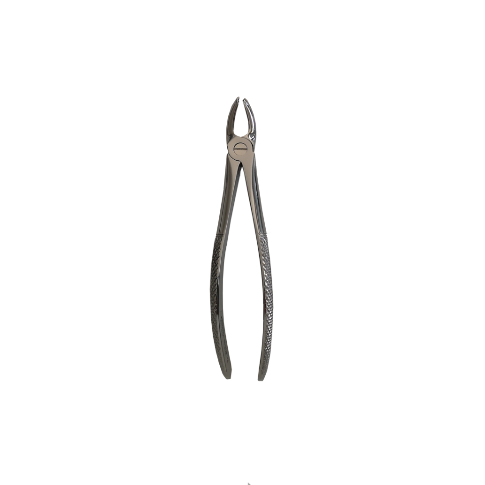 ÜST MOLAR (Üst Büyük Azı) Sol YETİŞKİN DAVYE