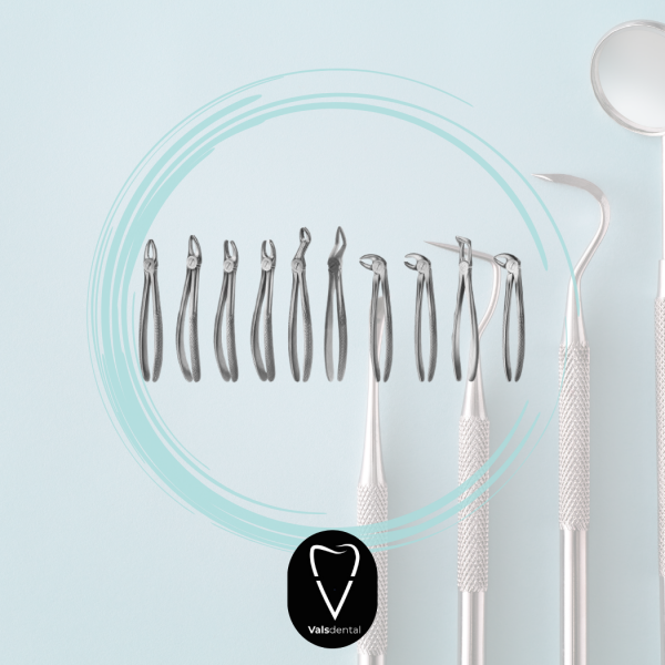 DAVYE SETİ YETİŞKİN 10 LU